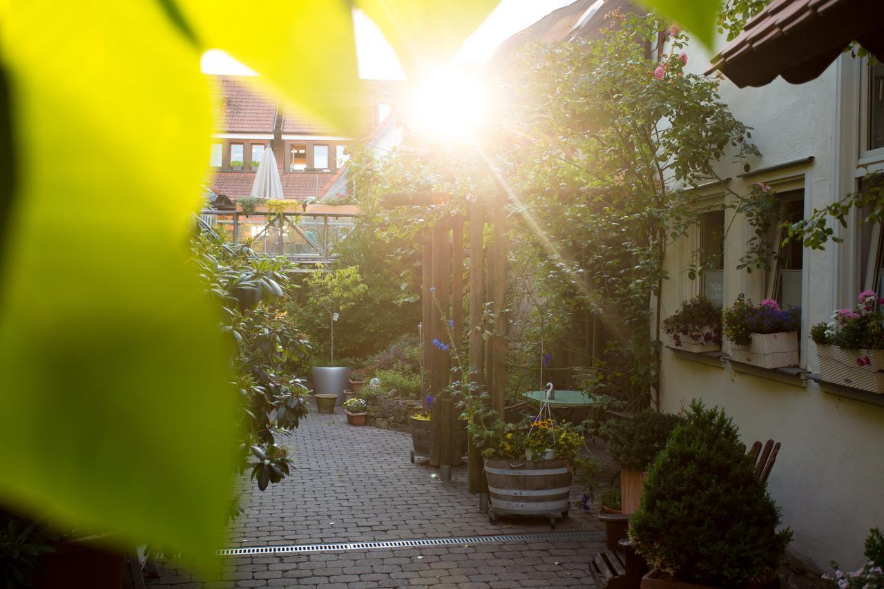 Beate'S Bed & Breakfast Munzenberg Экстерьер фото